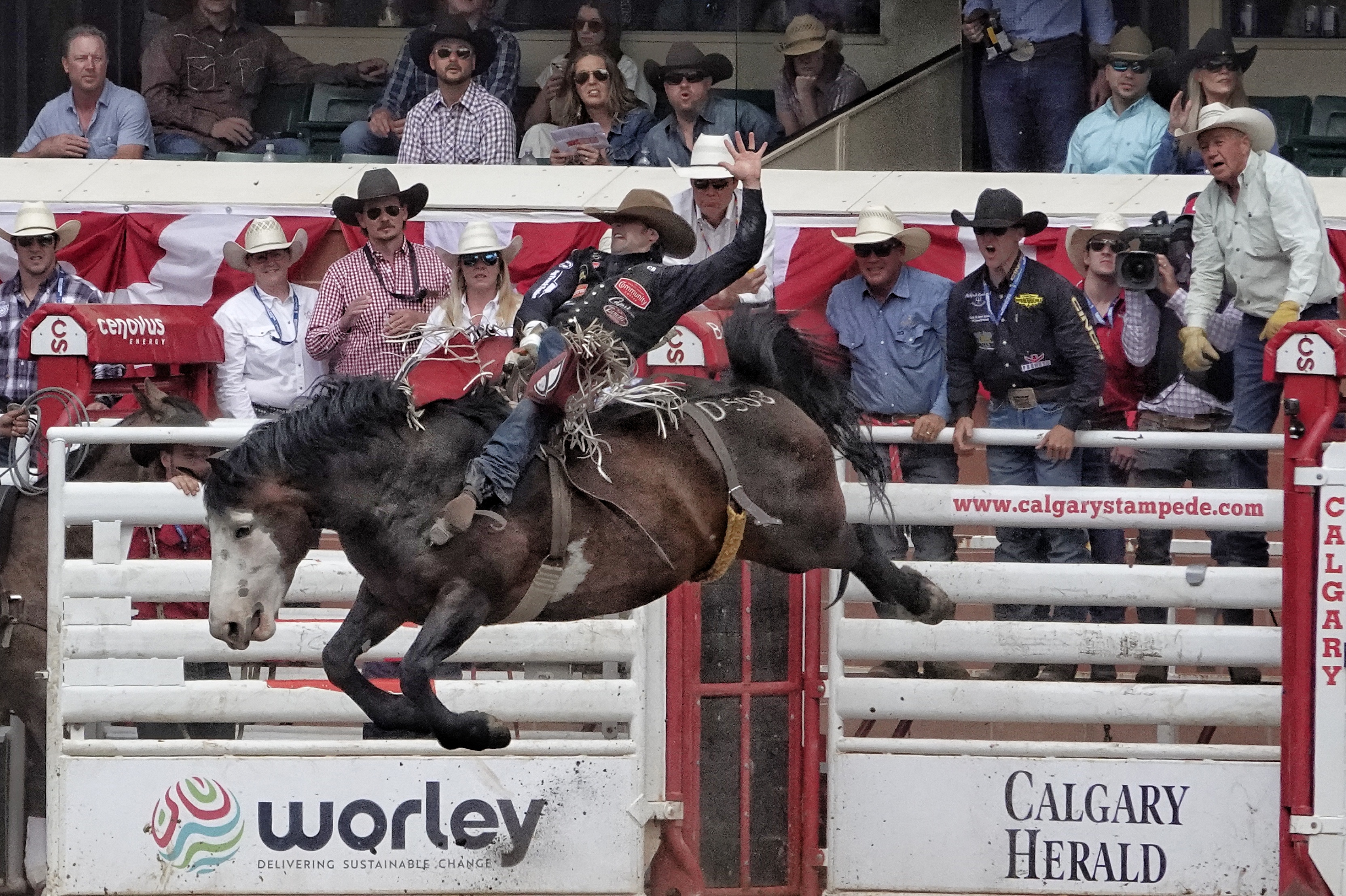 Rodéo au Calgary Stampede